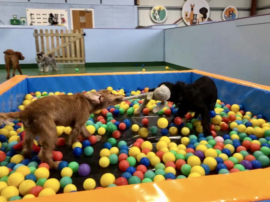 Springfield play area