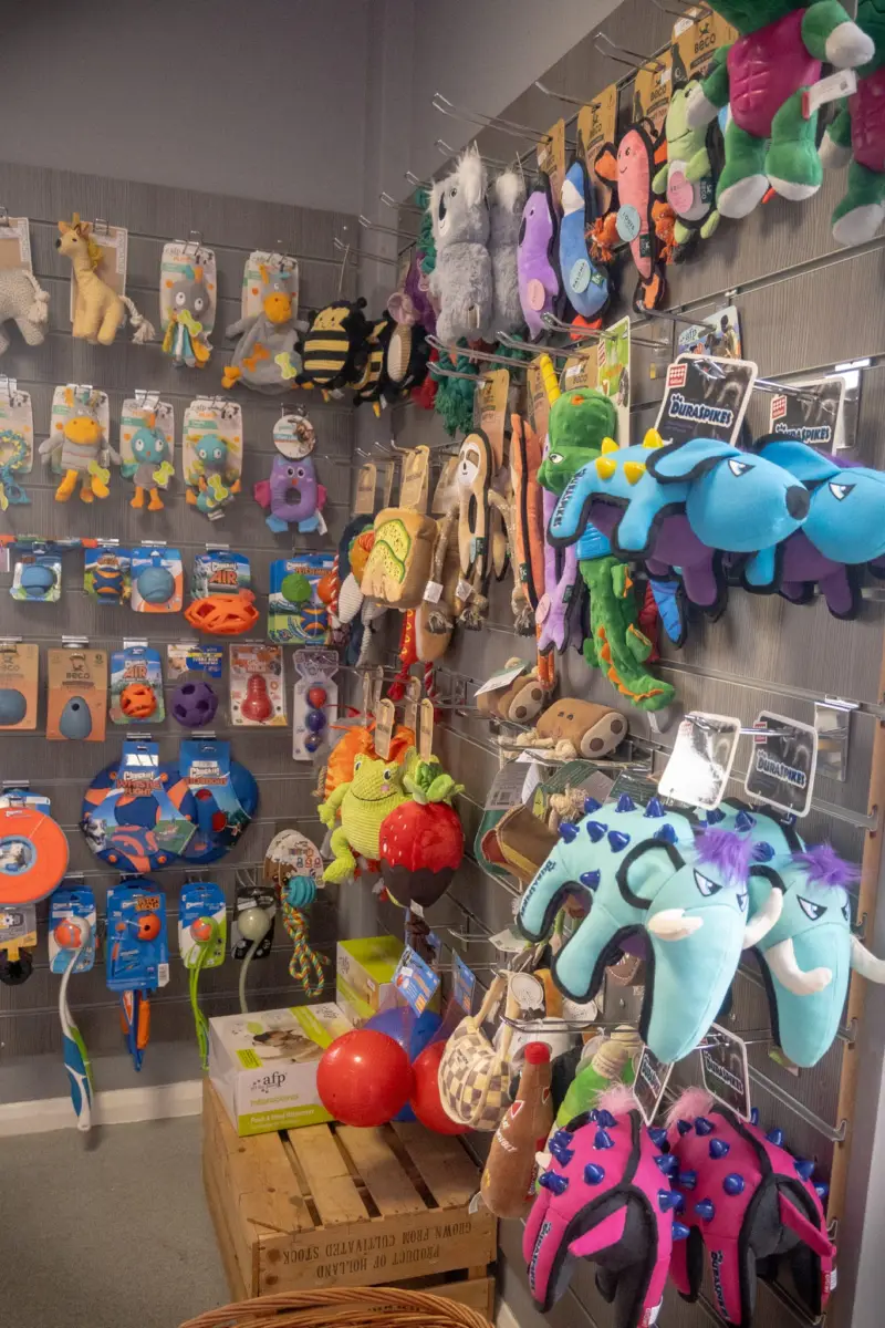 Chews and toys at Springfield Dog Centre