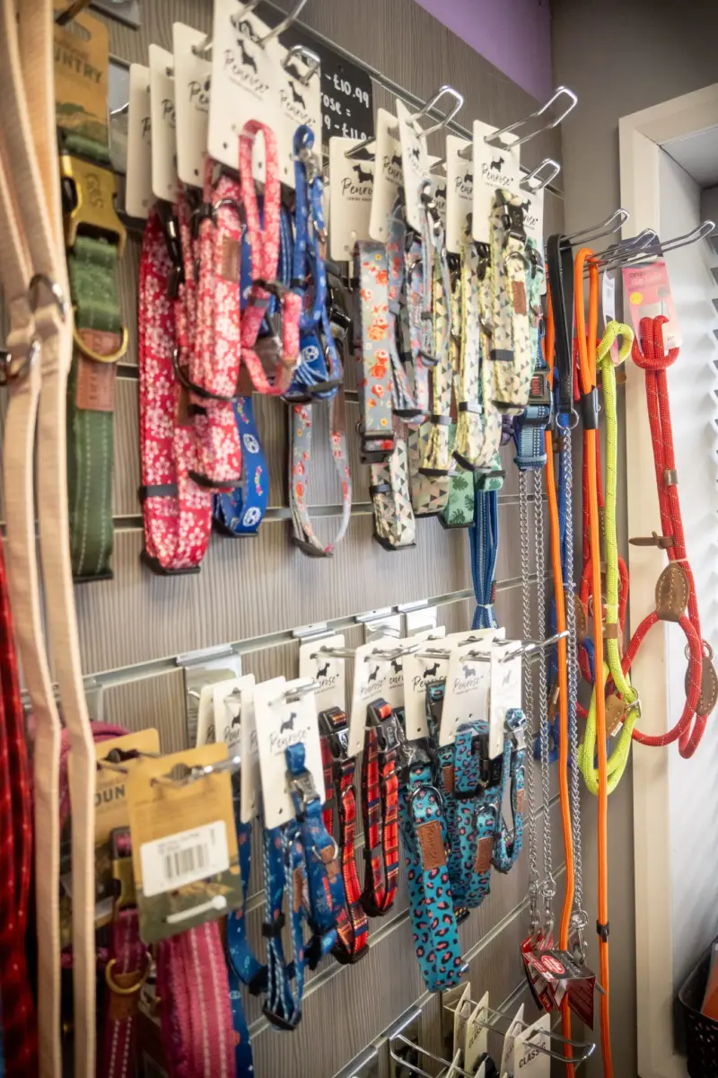 Trail harnesses at Springfield Dog Centre
